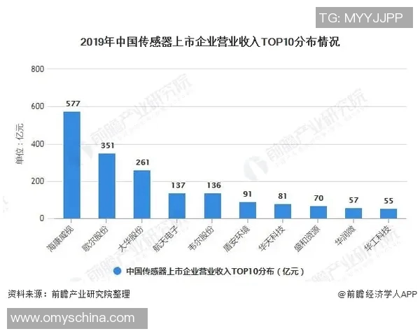 上海排球队的转型之路与未来发展趋势深度解析