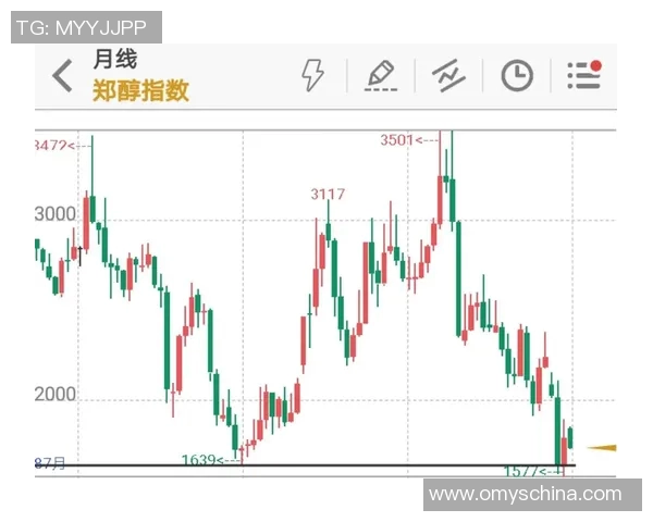 成都与武汉排球队赛后技术分析与战术复盘探讨