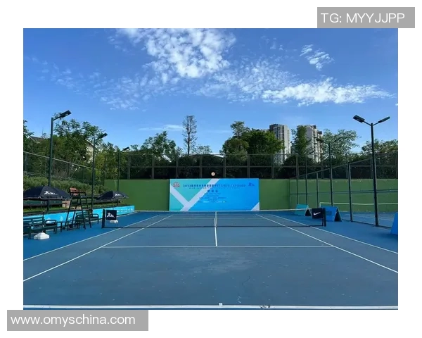 成都网球队在冠军赛中的技术表现分析与点评