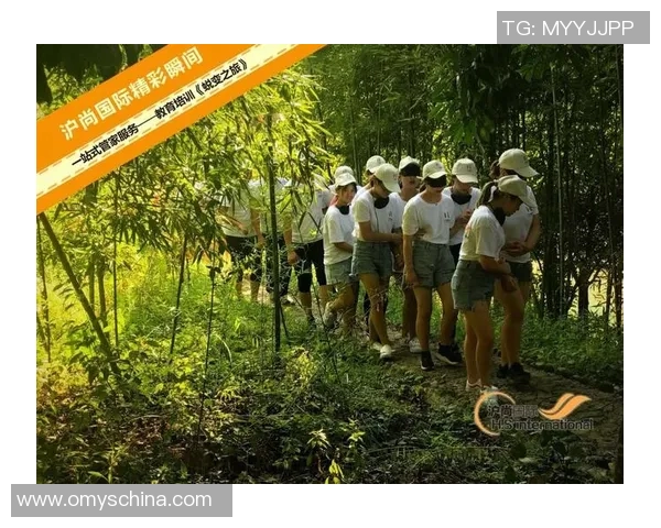 深圳篮球队蜕变之旅从低谷到巅峰的精彩历程与未来展望